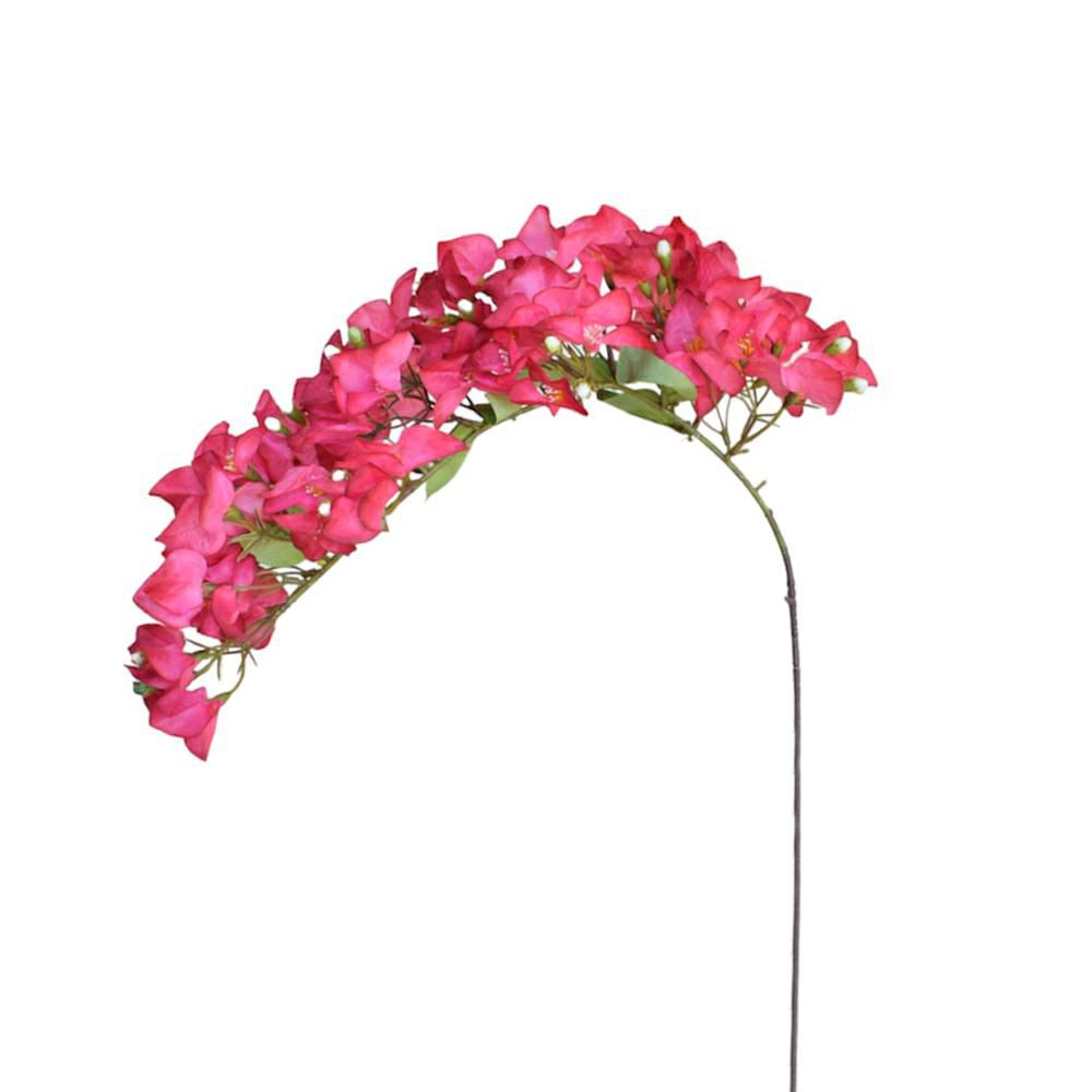 BOUGANVILLEA CM.100 FUXIA BOUGANVILLEA CM.100 FUXIA