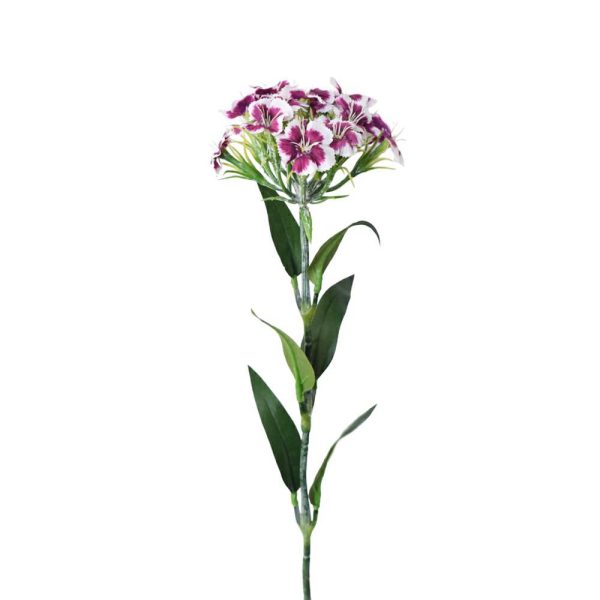DIANTHUS SPRAY CM.55 VIOLA DIANTHUS SPRAY CM.55 VIOLA