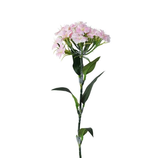 DIANTHUS SPRAY CM.55 ROSA DIANTHUS SPRAY CM.55 ROSA