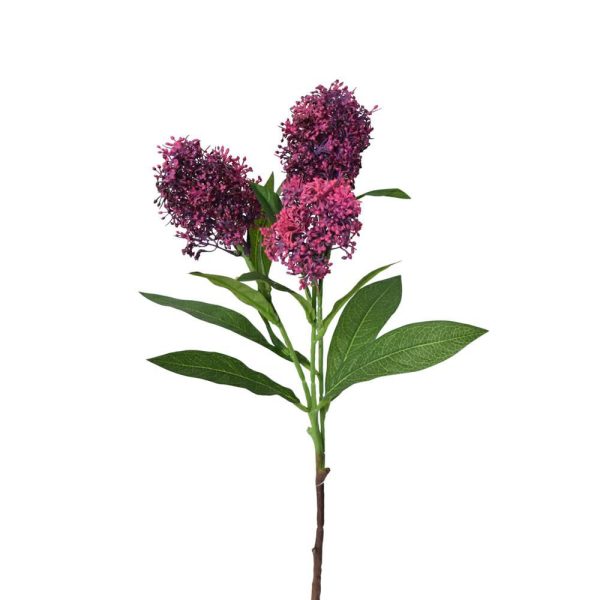 SKIMMIA SPRAY 3X 12FG CM.58 VIOLA SKIMMIA SPRAY 3X 12FG CM.58 VIOLA
