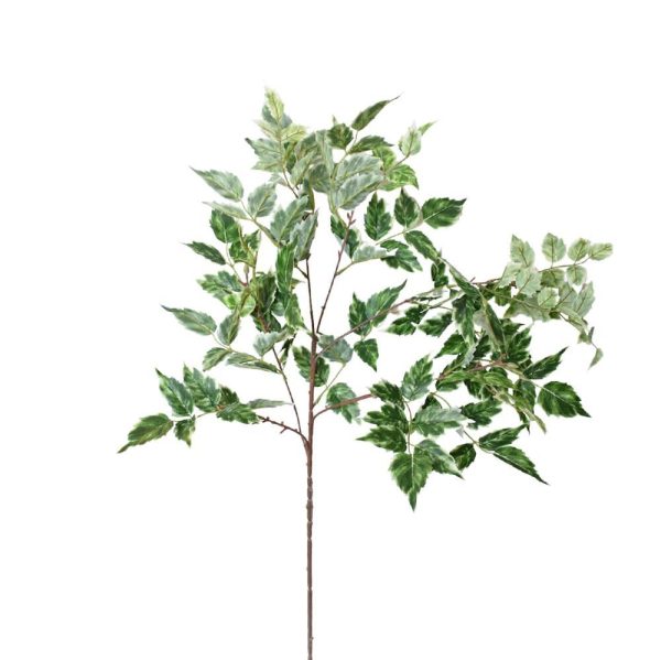 WISTERIA FOGLIE SPRAY CM.88 VERDE VARIEGATO WISTERIA FOGLIE SPRAY CM.88 VERDE VARIEGATO