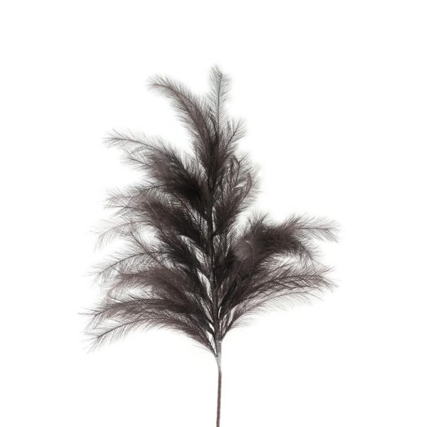 PIUME STOFFA 120 CM MARRONE PIUME STOFFA 120 CM MARRONE