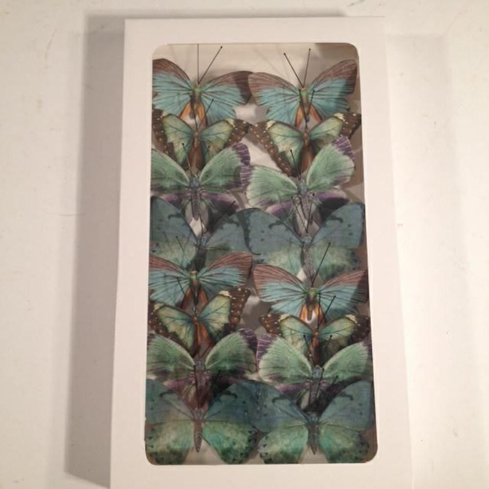 SET 16 FARFALLE CLIP CARTA CM.6 ASS.AZZURRO-LILLA SET 16 FARFALLE CLIP CARTA CM.6 ASS.AZZURRO-LILLA