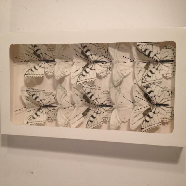 SET 16 FARFALLE CLIP CARTA CM.6 BIANCO SET 16 FARFALLE CLIP CARTA CM.6 BIANCO