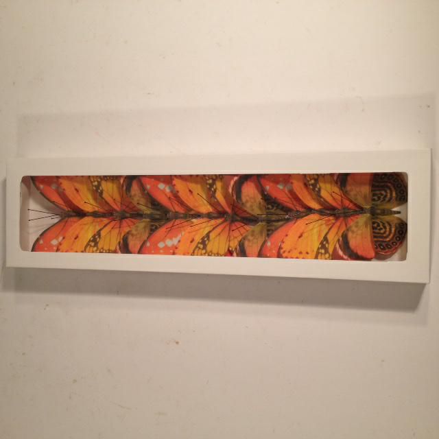 SET 12 FARFALLE CLIP CARTA CM.8 ARANCIONE