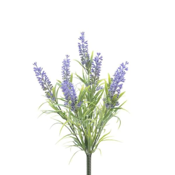 LAVANDA 7F CM.34 PORPORA LAVANDA 7F CM.34 PORPORA