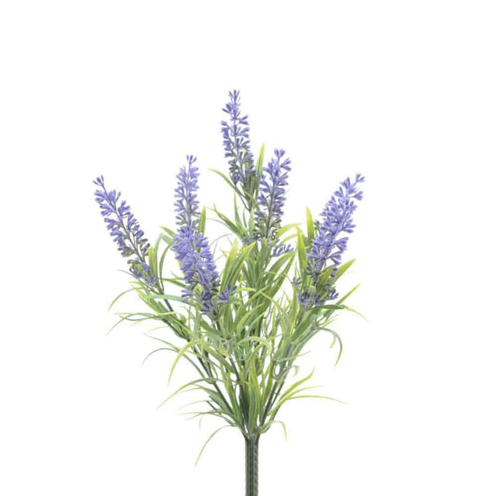 LAVANDA 7F CM.34 PORPORA
