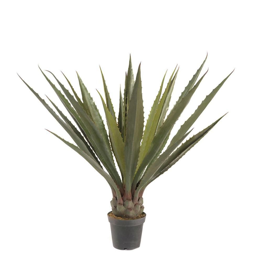 AGAVE PIANTA C/VASO CM.130 VERDE
