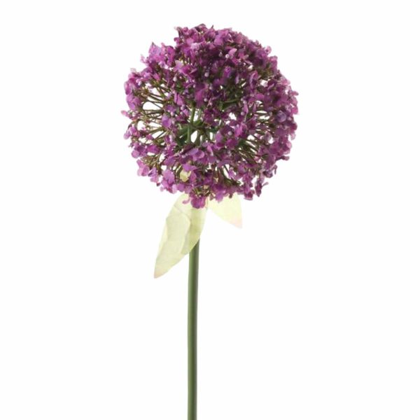 ALLIUM SPRAY CM.70 PORPORA SCURO ALLIUM SPRAY CM.70 PORPORA SCURO