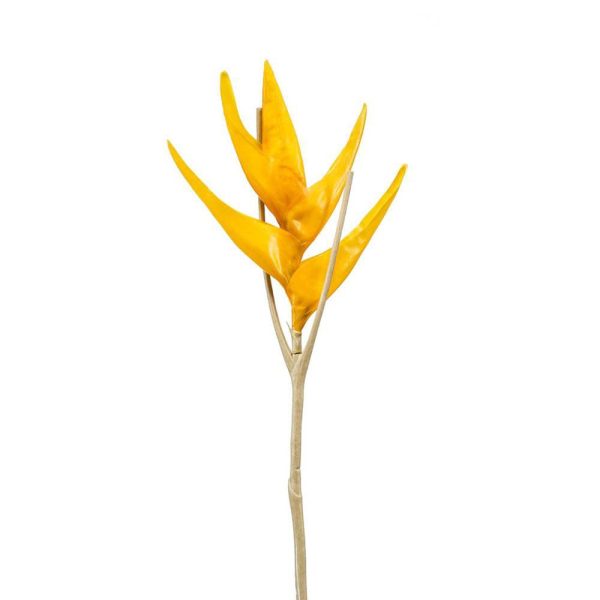 HELICONIA SPRAY CM.80 GIALLO HELICONIA SPRAY CM.80 GIALLO