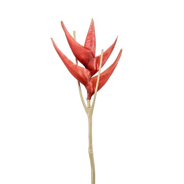 HELICONIA SPRAY CM.80 CORALLO HELICONIA SPRAY CM.80 CORALLO