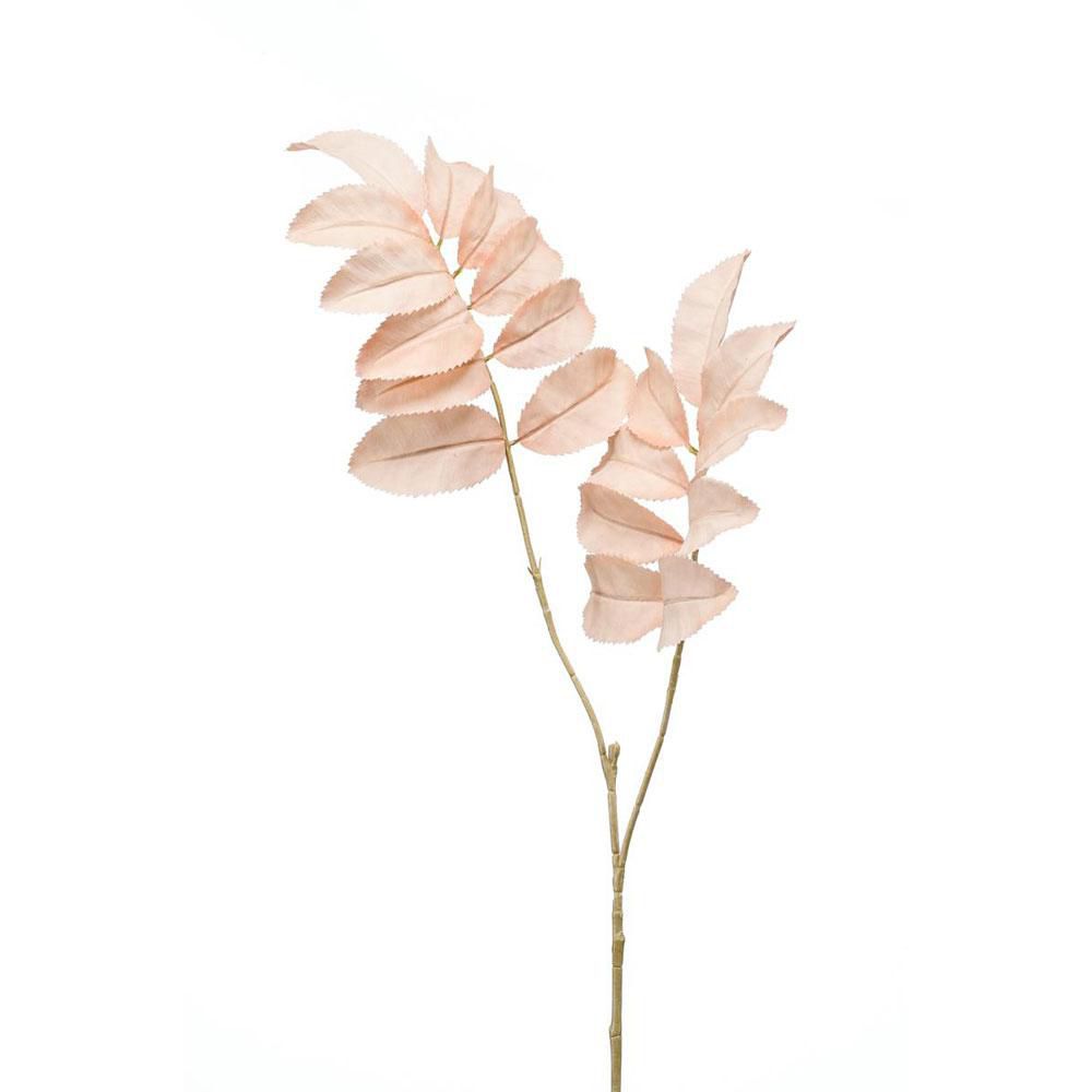 MELIANTHUS SPRAY CM.95 PESCA