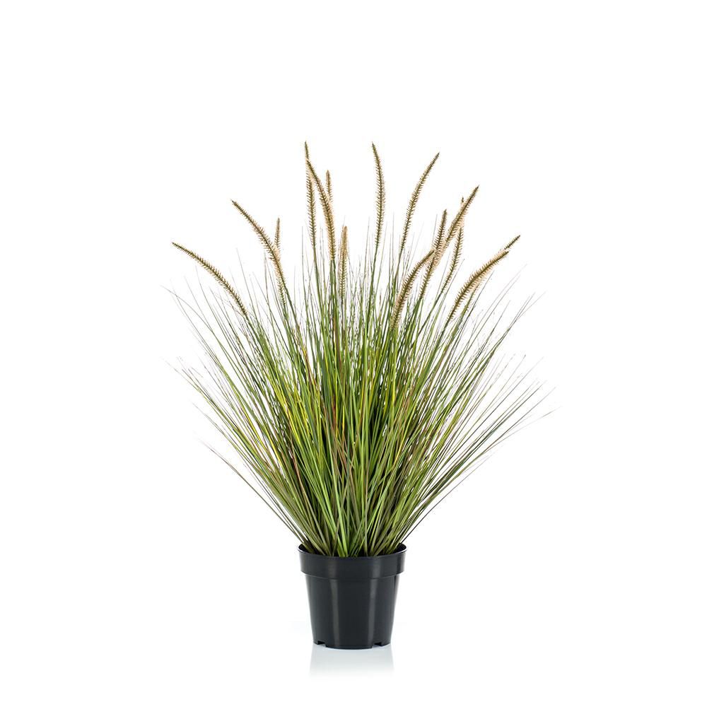 CIUFFO ERBA PENNISETUM PIANTA C/VASO CM.85 VERDE CIUFFO ERBA PENNISETUM PIANTA C/VASO CM.85 VERDE