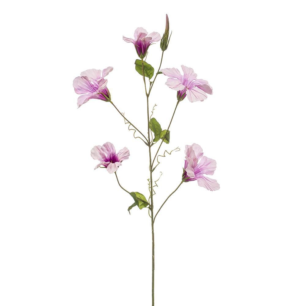 MANDEVILLA SPRAY CM.93 VIOLA