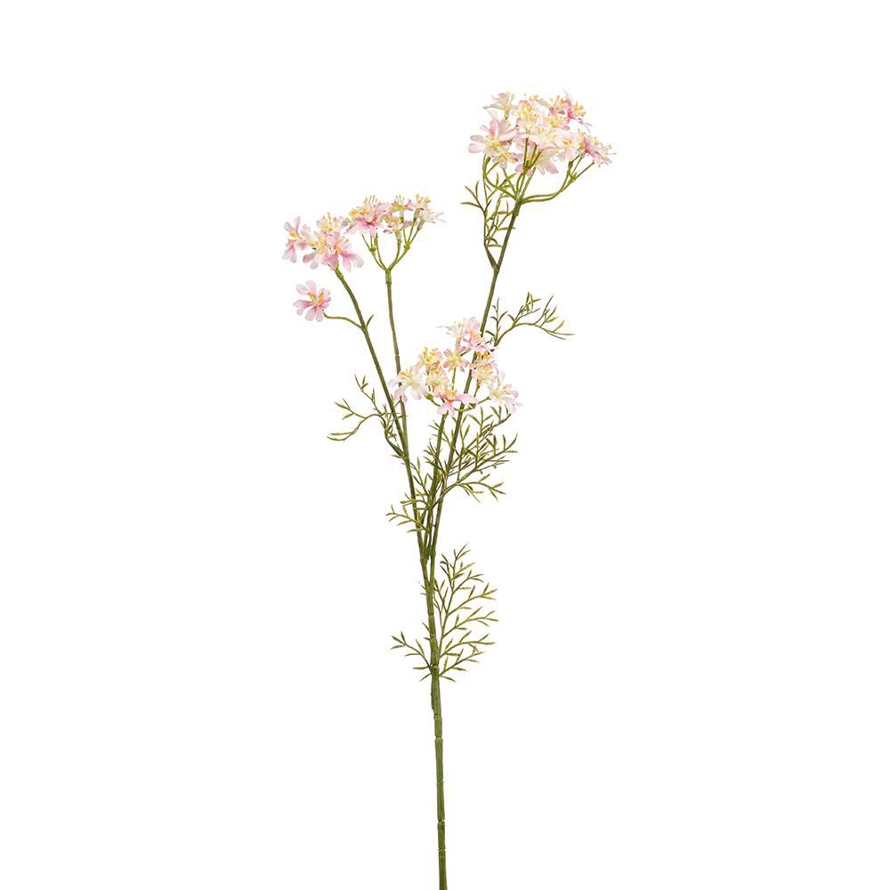 DILL RAMO CM.85 ROSA DILL RAMO CM.85 ROSA