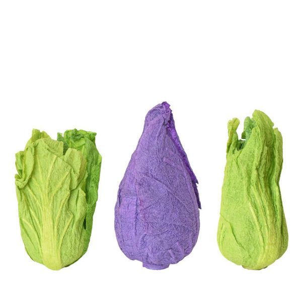 INSALATA CARTA ASS. MULTICOLOR INSALATA CARTA ASS. MULTICOLOR