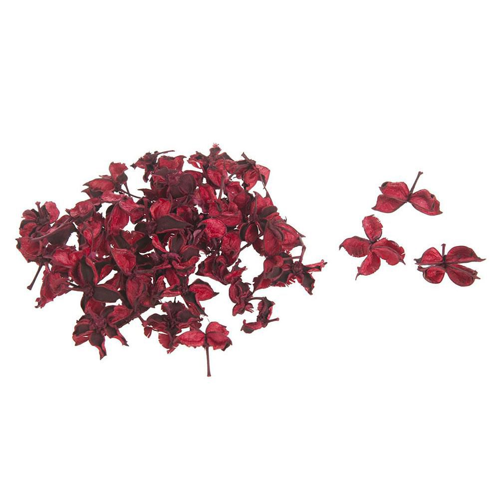 COTTON PODS CONF.GR.500ROSSO