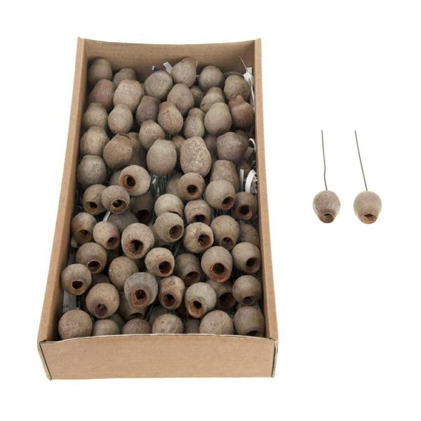 SEME PAPAVERO PICK H.3 CM CONF.PZ.100 NATURALE SEME PAPAVERO PICK H.3 CM CONF.PZ.100 NATURALE