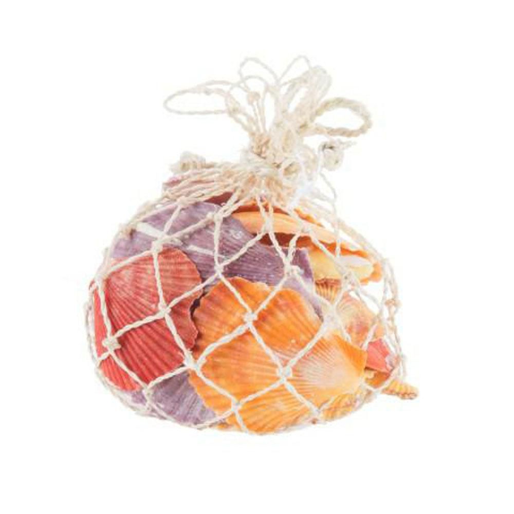 CONCHIGLIE PECTEN NOBILIS CONF.GR.220 NATURALE