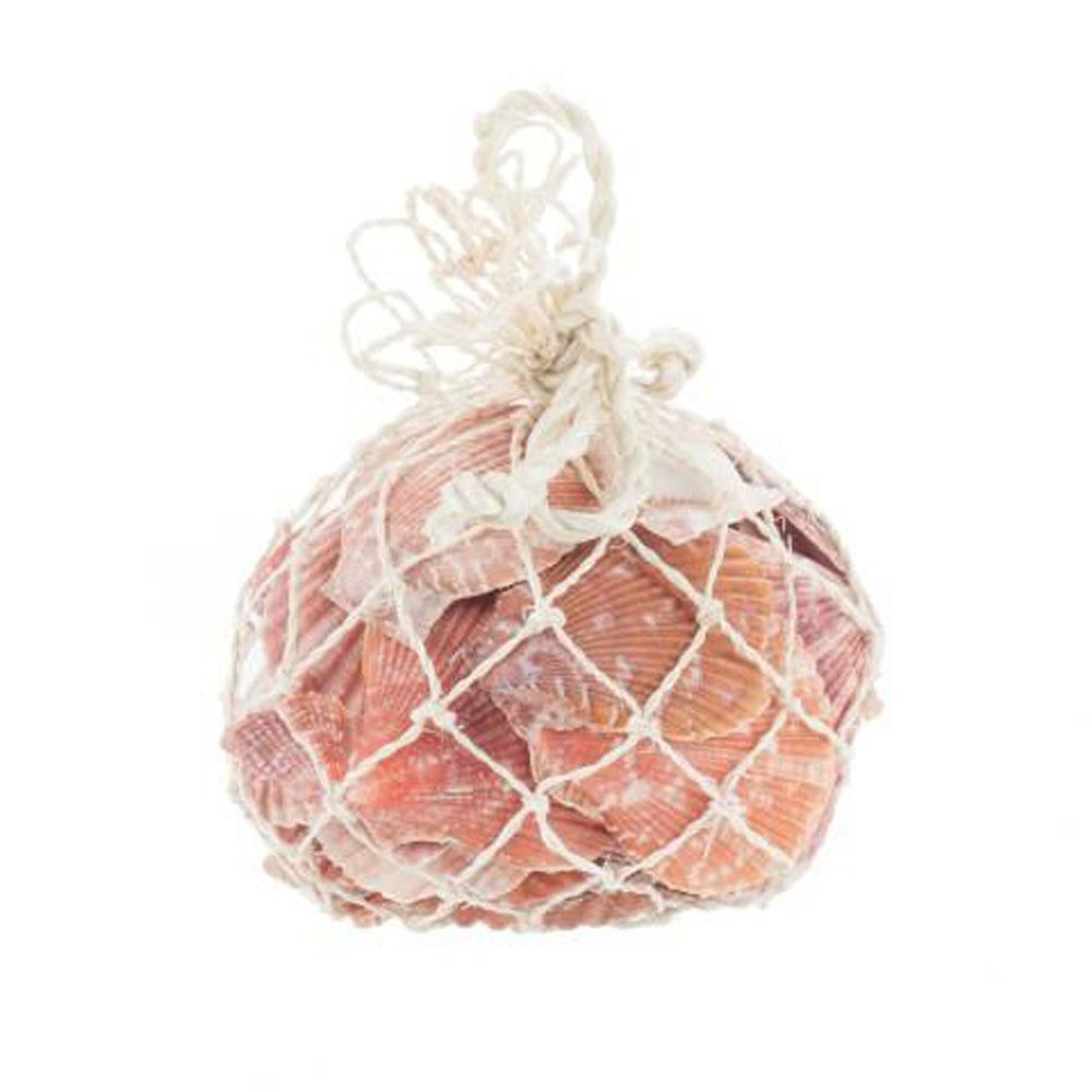 CONCHIGLIE NOBILIS CONF.GR.250 IN RETE NATURALE CONCHIGLIE NOBILIS CONF.GR.250 IN RETE NATURALE