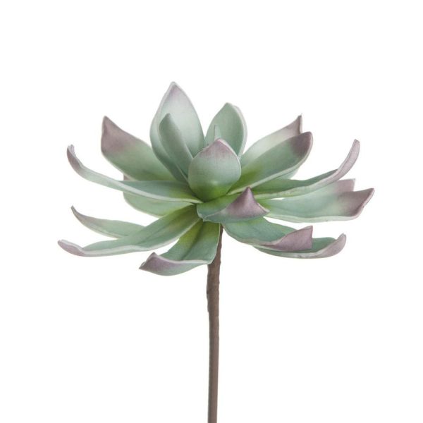 CACTUS FOAM CM.10 VERDECHIARO CACTUS FOAM CM.10 VERDECHIARO