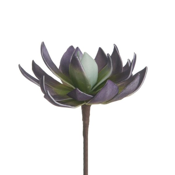 CACTUS FOAM CM.20 BURGUNDY/VERDE CACTUS FOAM CM.20 BURGUNDY/VERDE