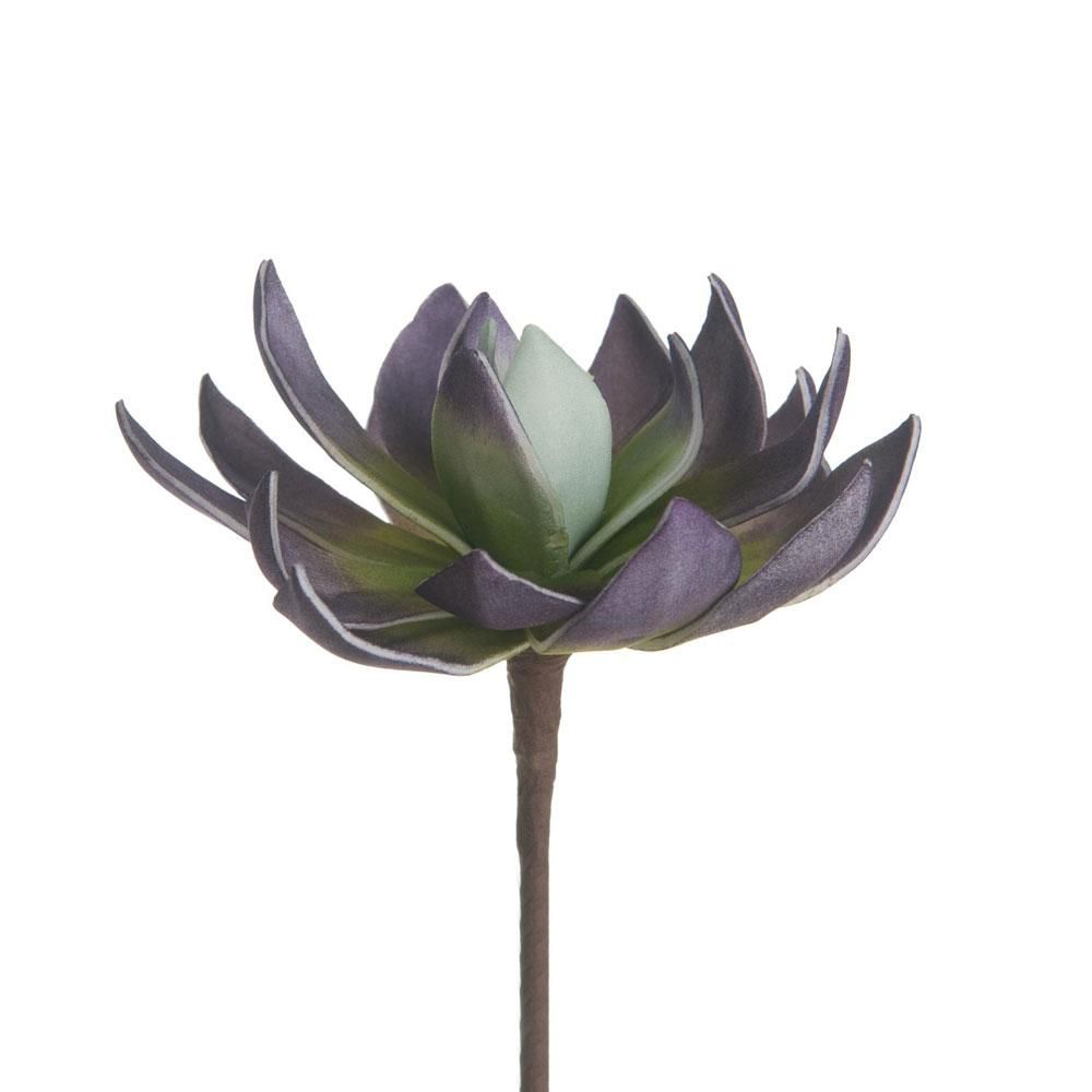 CACTUS FOAM CM.20 BURGUNDY/VERDE