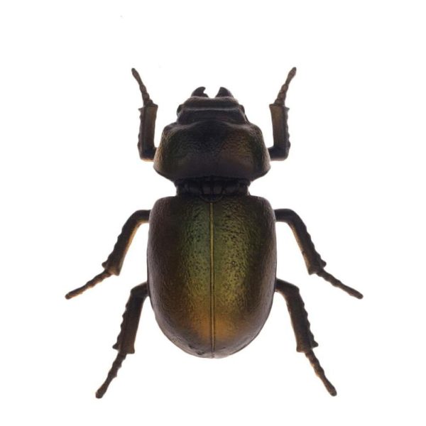 SCARABEO POLIRESINA D/PARETE 10,5X9,5X3,5 CM ORO SCURO SCARABEO POLIRESINA D/PARETE 10,5X9,5X3,5 CM ORO SCURO