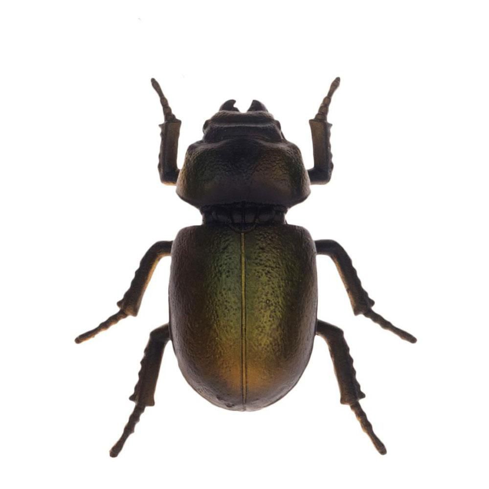 SCARABEO POLIRESINA D/PARETE 10,5X9,5X3,5 CM ORO SCURO