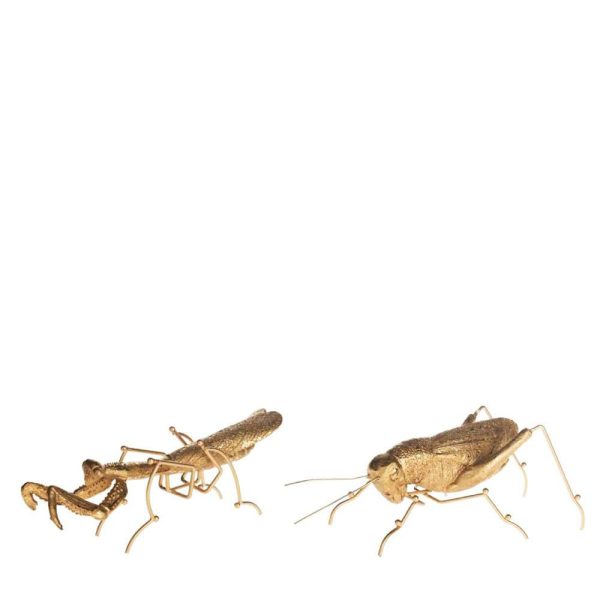 INSETTO POLIRESINA ASS.2 19X4X6,5/20X10X7,5 CM ORO SCURO INSETTO POLIRESINA ASS.2 19X4X6,5/20X10X7,5 CM ORO SCURO