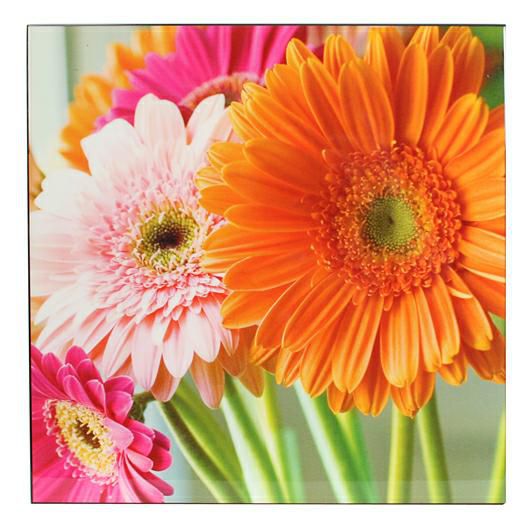DIPINTO GERBERA 78X78X3,8 ED