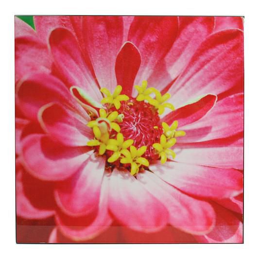 DIPINTO FIORE 78X78X3,8ED