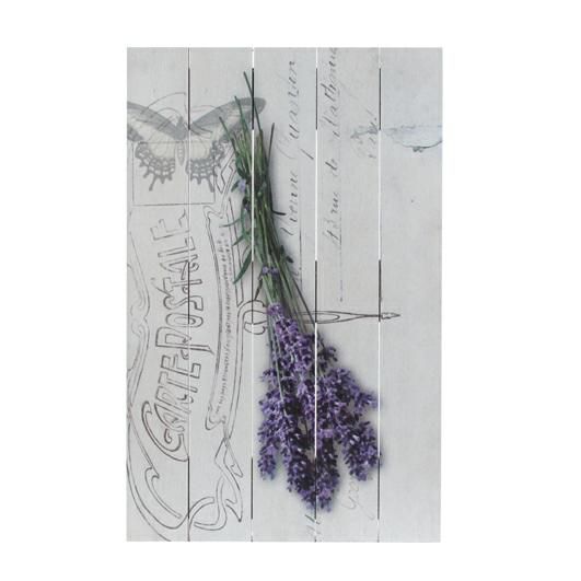 PANNELLO LAVANDA 38X60 PANNELLO LAVANDA 38X60