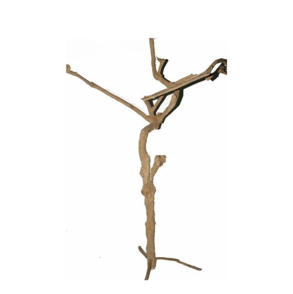 COFFEE TRUNK H.180CM C/SUPPORTO NATURALE COFFEE TRUNK H.180CM C/SUPPORTO NATURALE