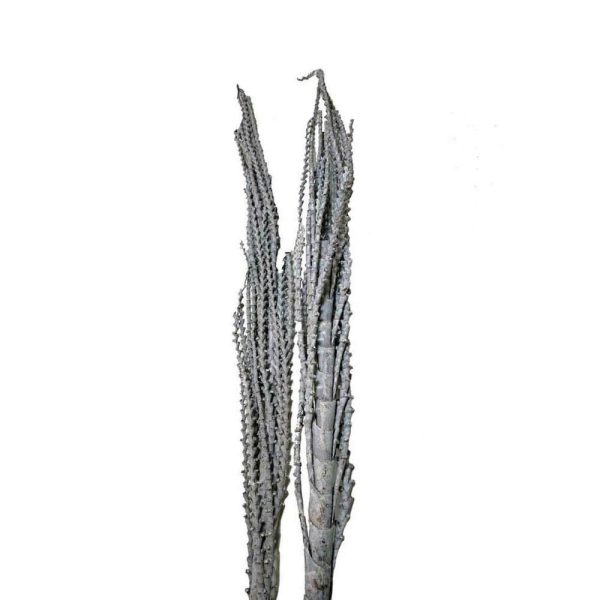 GALHO BURITI H.150 CM FROSTED NATURALE GALHO BURITI H.150 CM FROSTED NATURALE