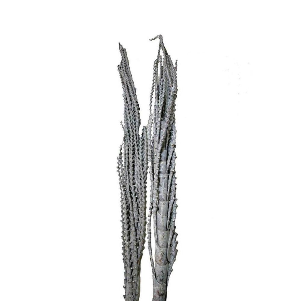 GALHO BURITI H.150 CM FROSTED NATURALE GALHO BURITI H.150 CM FROSTED NATURALE