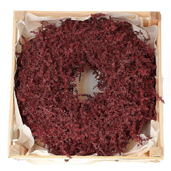 CORONA ASPARAGUS D.35 CM CORONA ASPARAGUS D.35 CM