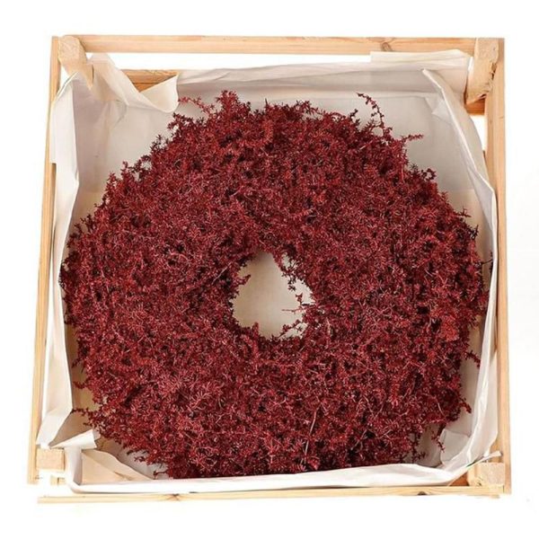 CORONA ASPARAGUS D.45 CM CORONA ASPARAGUS D.45 CM