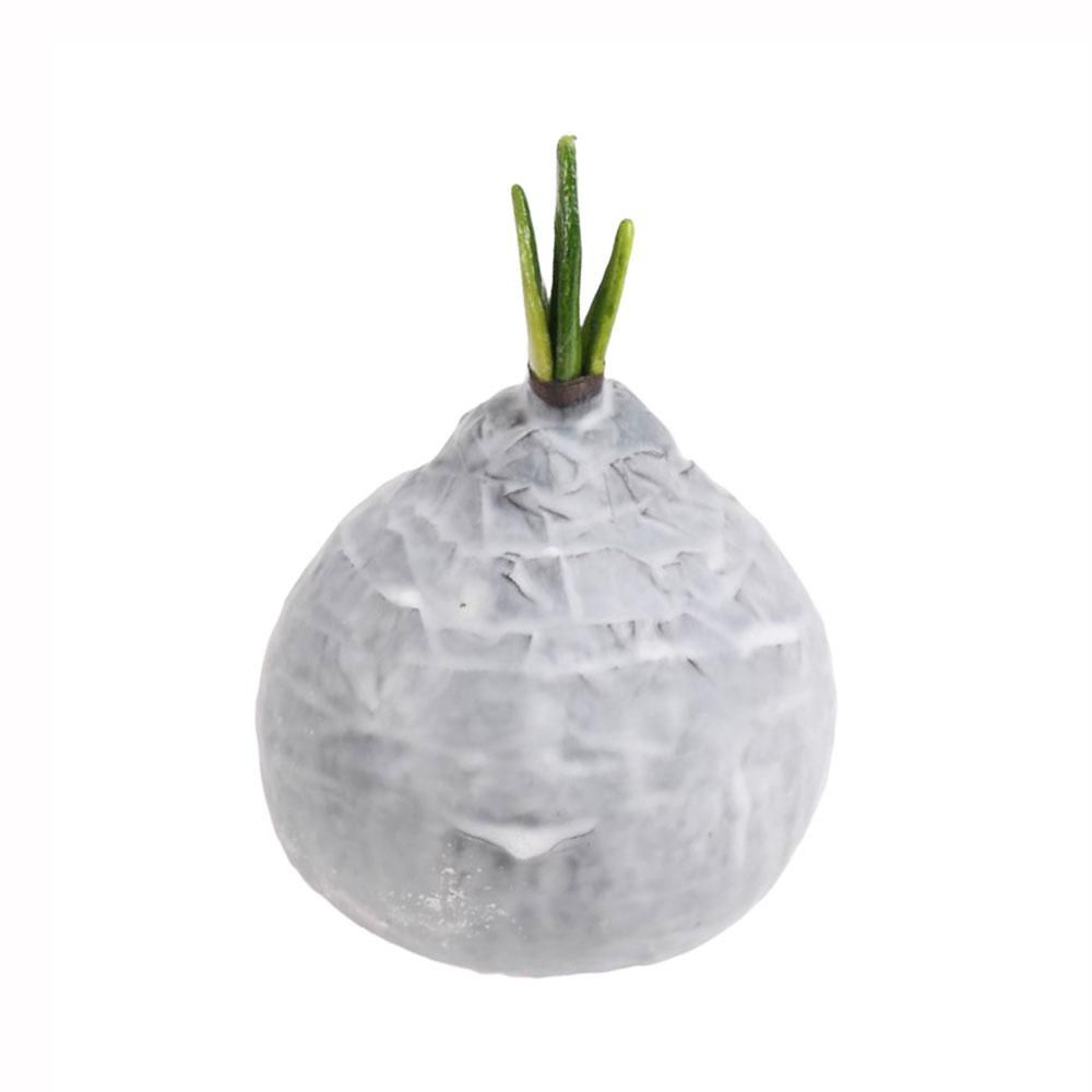 BULBO AMARYLLIS F.9 CM H.14 CM CERATO BIANCO BULBO AMARYLLIS F.9 CM H.14 CM CERATO BIANCO