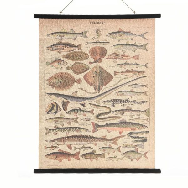 STAMPA SU TELA-FISH- CM.80X100X2 MULTIC. STAMPA SU TELA-FISH- CM.80X100X2 MULTIC.