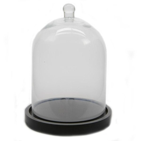 CALOTTA VETRO C/BASE D.20 H.33 CM TRASPARENTE CALOTTA VETRO C/BASE D.20 H.33 CM TRASPARENTE