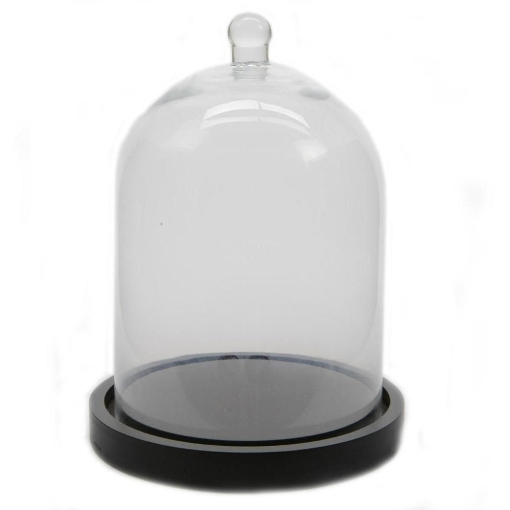 CALOTTA VETRO C/BASE D.20 H.33 CM TRASPARENTE CALOTTA VETRO C/BASE D.20 H.33 CM TRASPARENTE