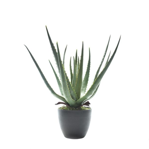 AGAVE PIANTA C/VASO CM.40 VERDE AGAVE PIANTA C/VASO CM.40 VERDE