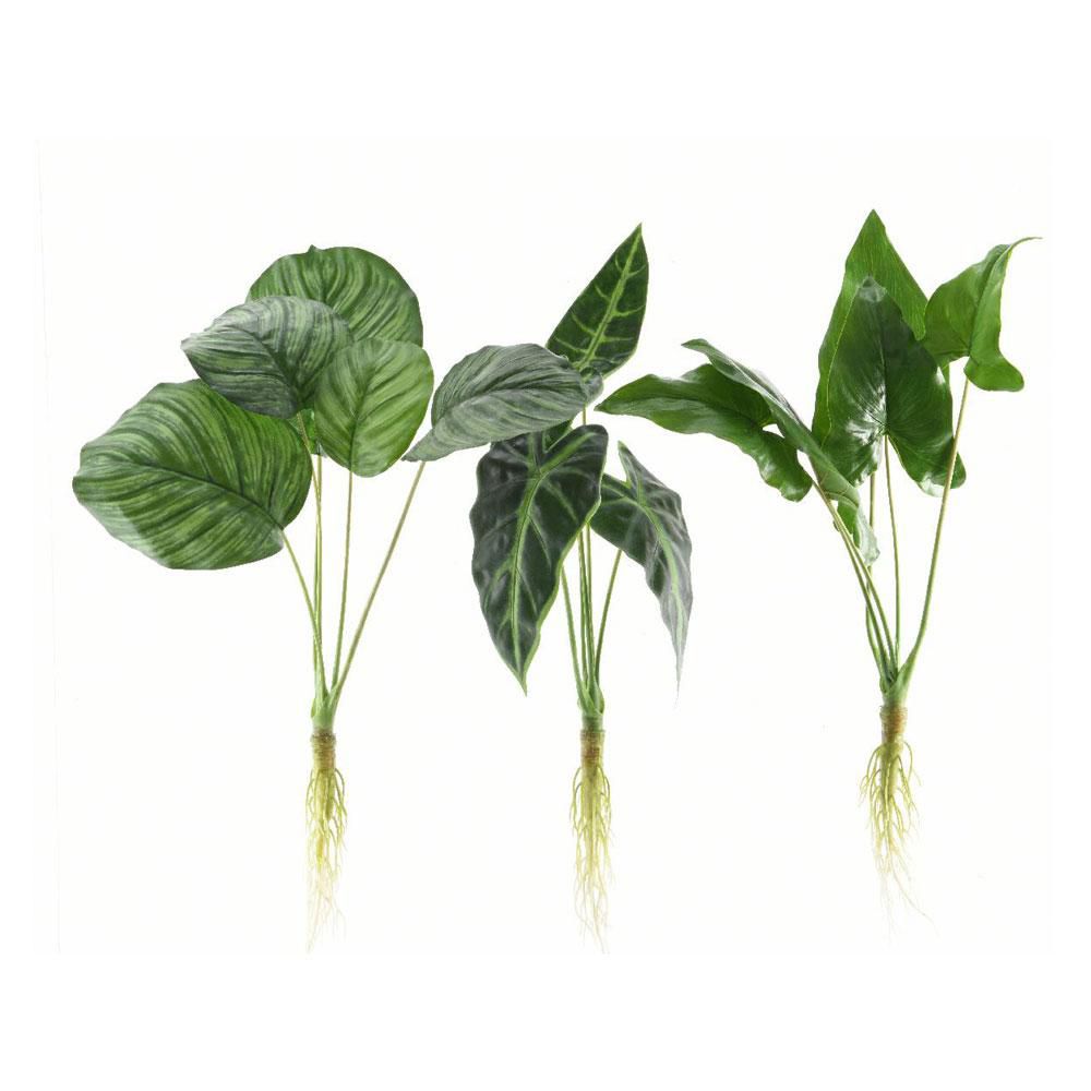 PIANTA C/RADICI CM.50 VERDE PIANTA C/RADICI CM.50 VERDE