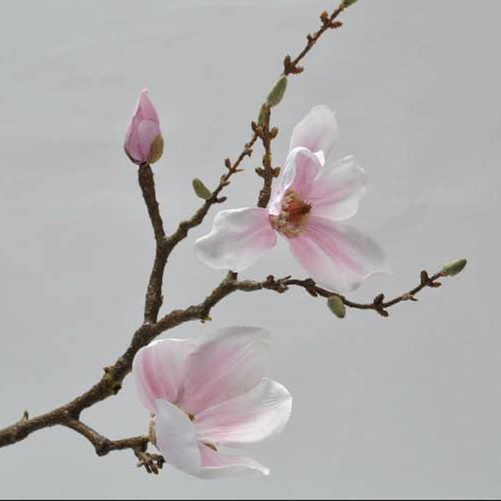 MAGNOLIA CM.62 ROSA MAGNOLIA CM.62 ROSA