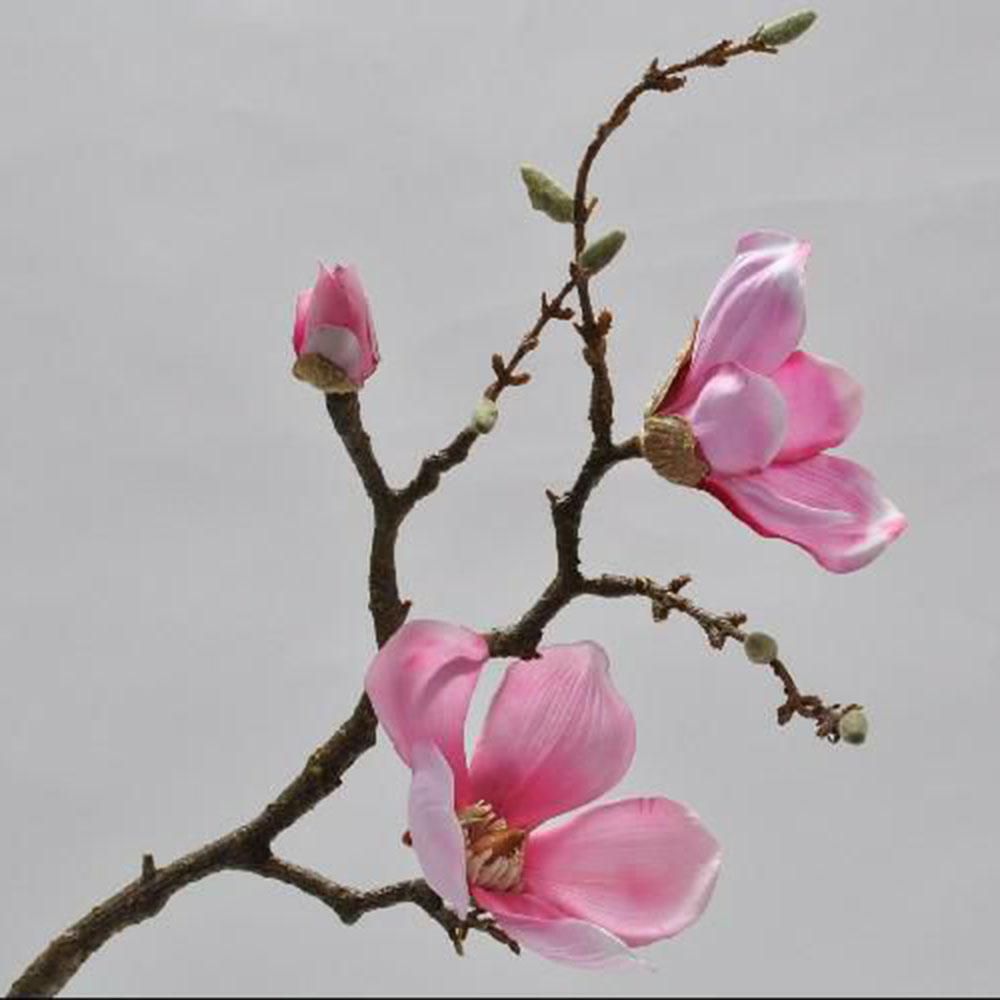 MAGNOLIA CM.62 FUCSIA