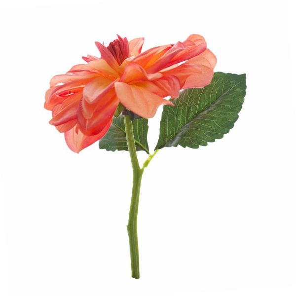 DALIA SPRAY CM.29 CORALLO DALIA SPRAY CM.29 CORALLO