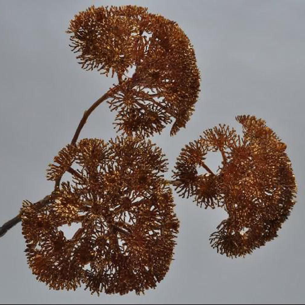 QUEEN ANN LACE SPRAY CM.37 RAME QUEEN ANN LACE SPRAY CM.37 RAME