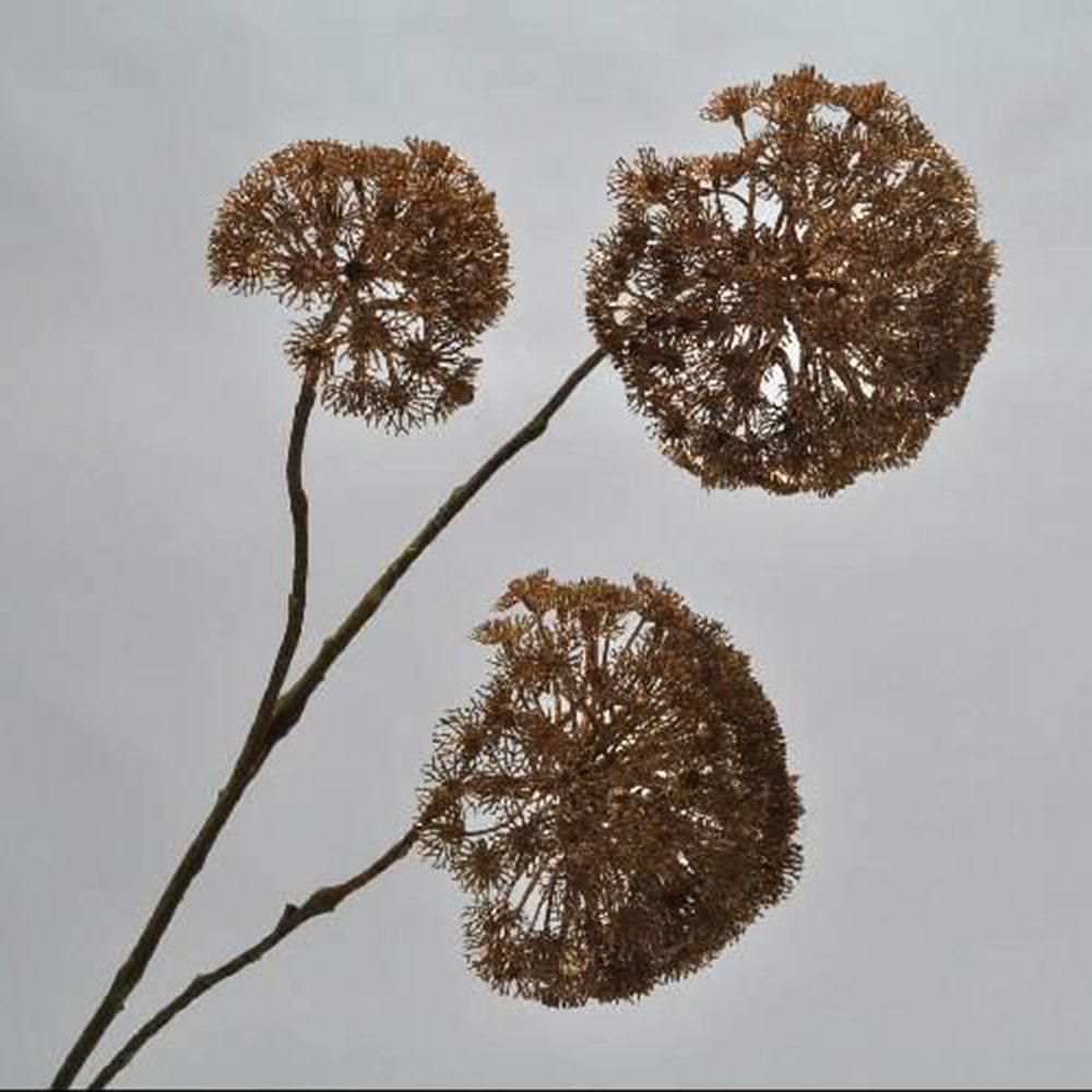 QUEEN ANN LACE SPRAY CM.92 RAME QUEEN ANN LACE SPRAY CM.92 RAME