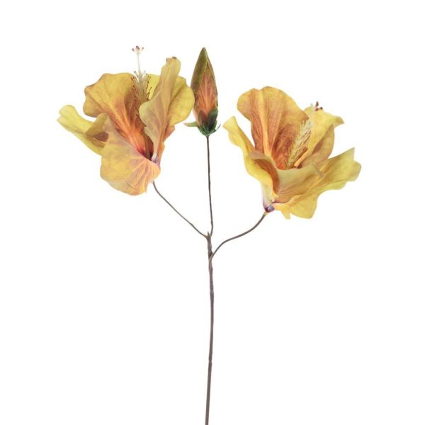 HIBISCUS PICK CM.42 OCRA HIBISCUS PICK CM.42 OCRA